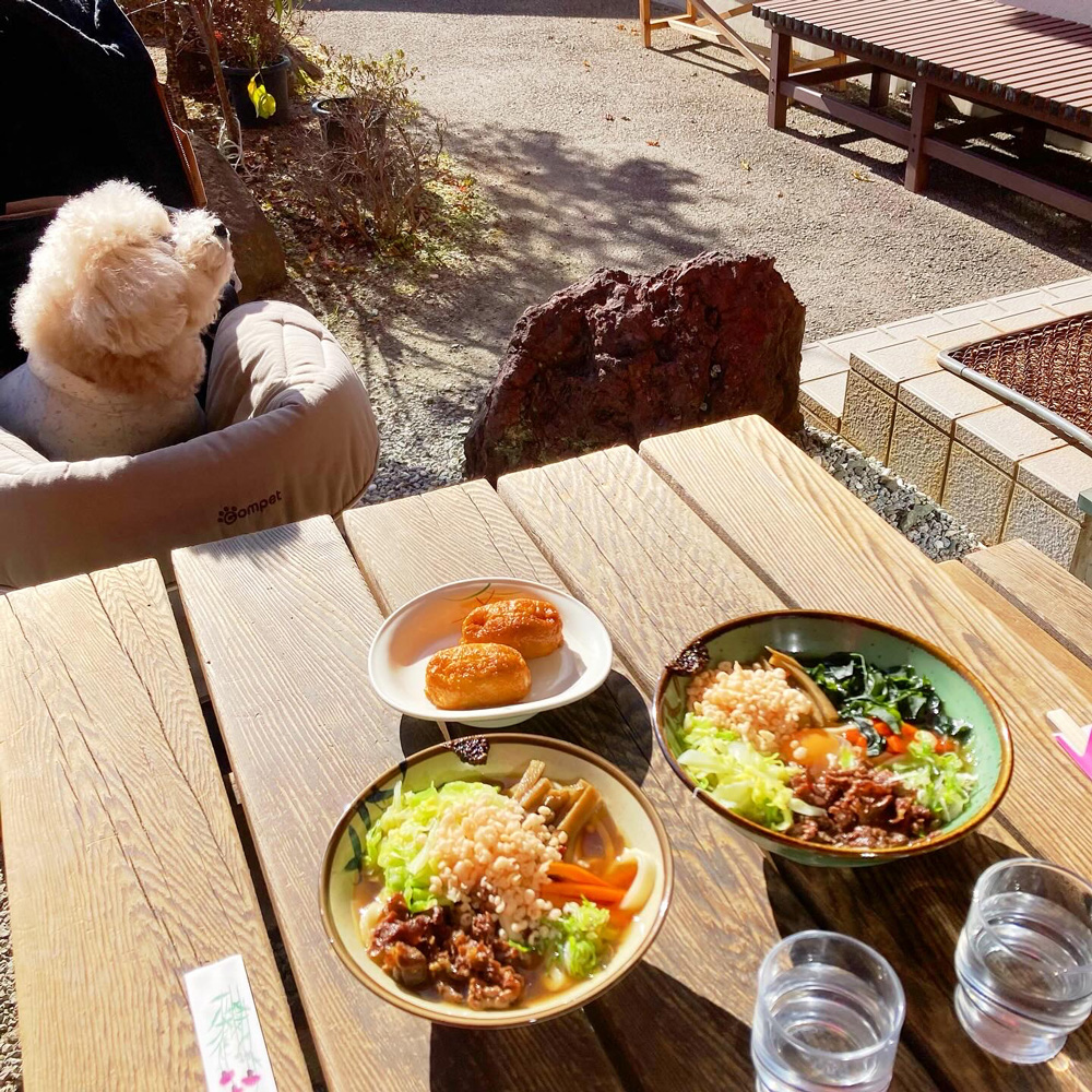 吉田うどん　はうす