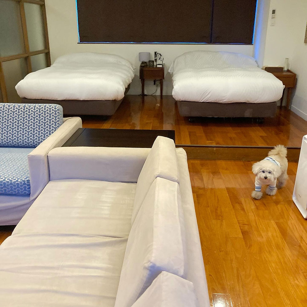 レジーナリゾート富士