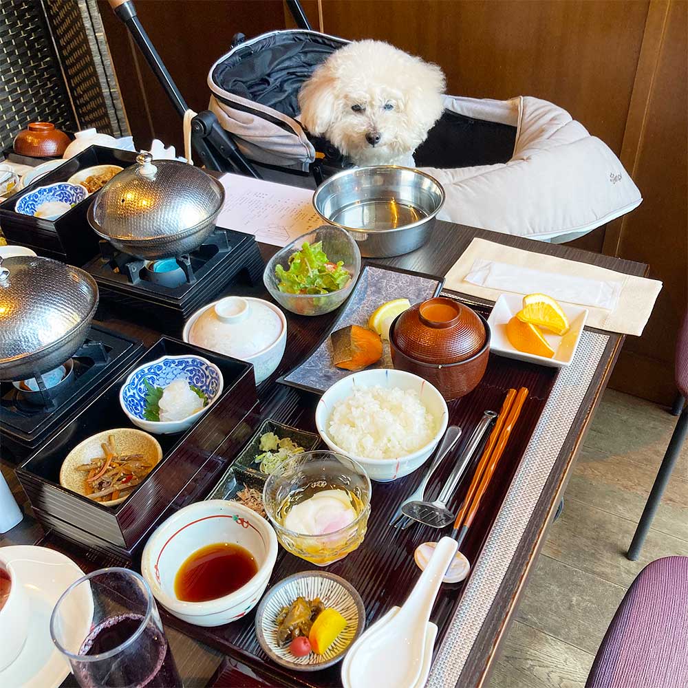 レジーナリゾート富士